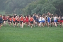 130831 USF-XC-Invite-044